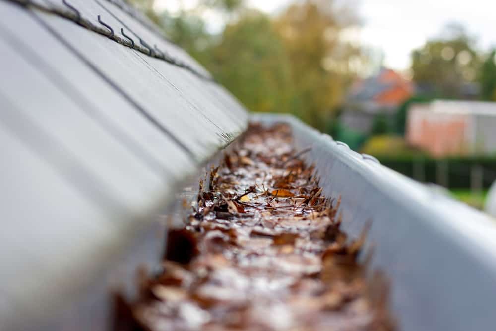 A Portrait Of Inside Of A Clogged Roof Gutter Filled With Leaves Gutter Services Nassau County, NY